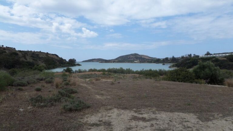 Quad Safari Ierapetra Day Tour