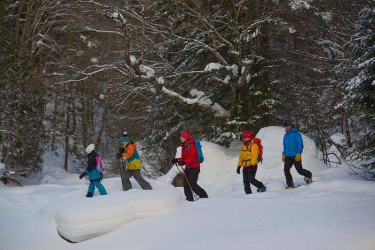 Quebec City: Jacques-Cartier National Park Snowshoeing Tour