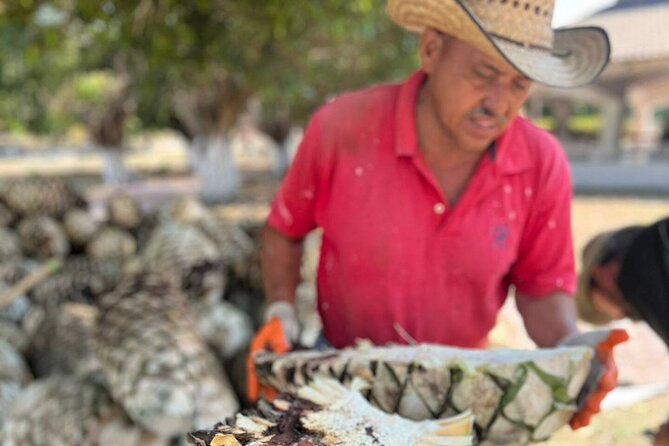 Raicilla Tour in Puerto Vallarta