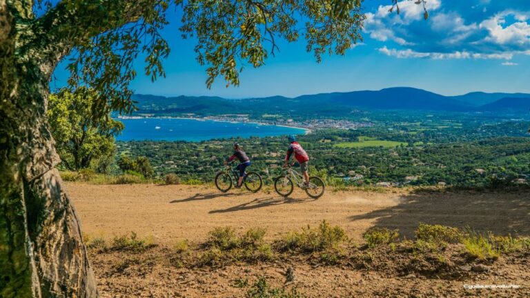 Ramatuelle: Tracks & Tasting Winery Tour by Mountain E-Bike