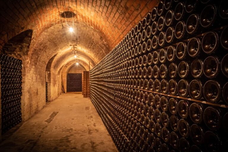 Reims & Epernay: Full Day Private Champagne Tour & 2 Growers