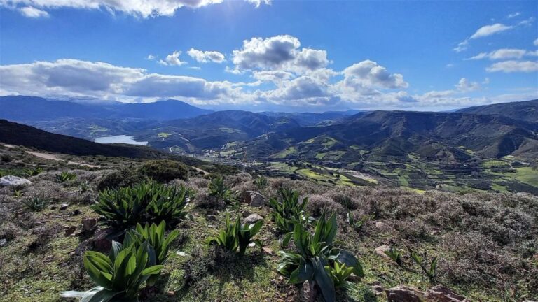 Rethymno: Shepherds Path Hike From Maroulas Village