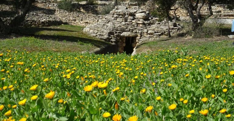 Rethymno: Springtime Plant Walk and Birdwatching in Nature