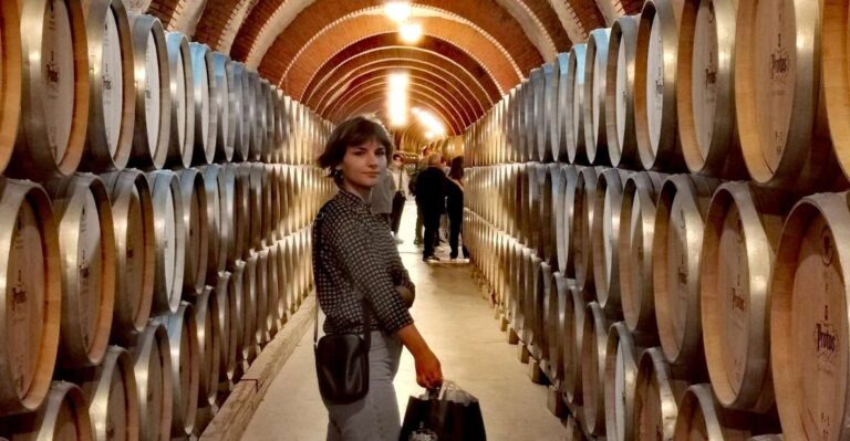 Ribera Del Duero Wine Region Private Tour