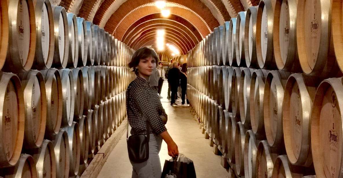 Ribera Del Duero Wine Region Private Tour - Tour Details