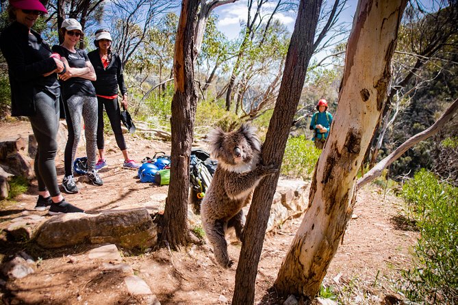 Rock Climbing and Abseiling in Adelaide