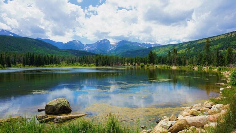 Rocky Mountain: Private Guided Day Tour From Denver/Boulder