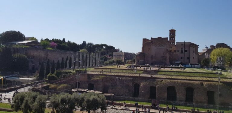 Rome: Fast-Track Private Colosseum Arena & Palatine Hill