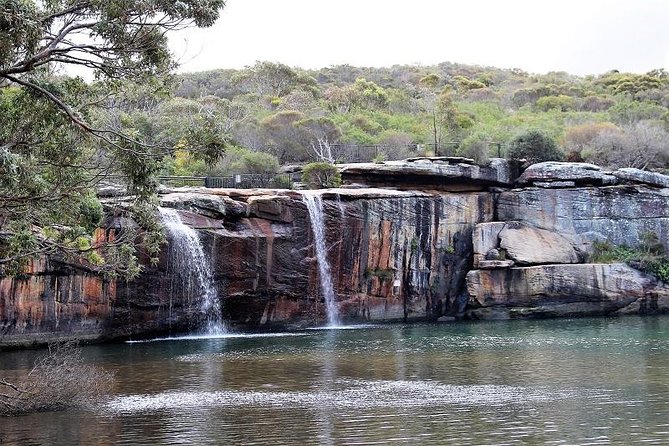 Royal National Park Tour - Customized Itinerary Details