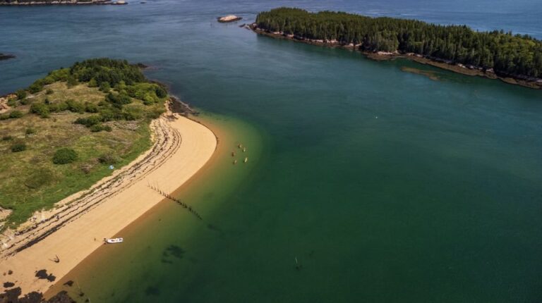 Saint John: Bay of Fundy Guided Kayaking Tour With Snack