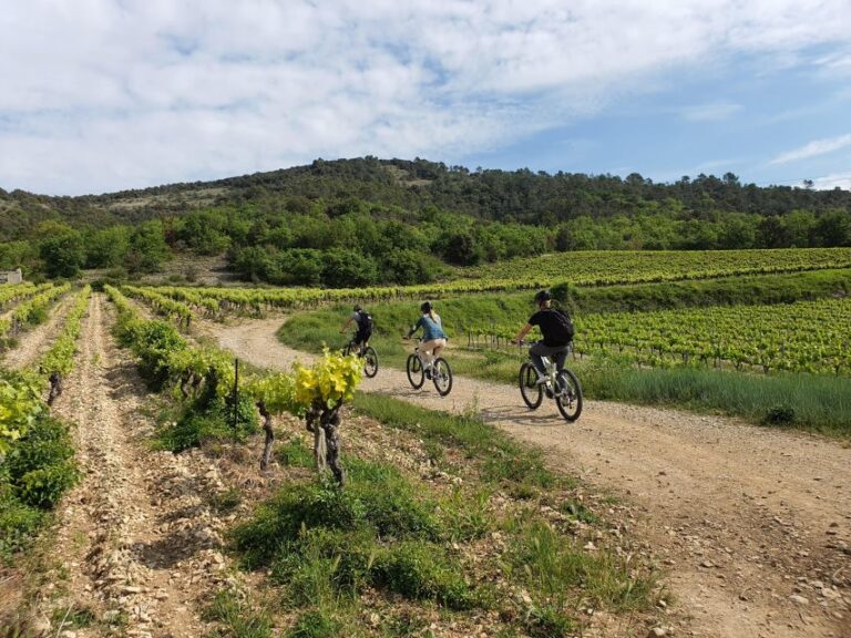 Saint Montan: Electric Bike Wine Tour & Tasting