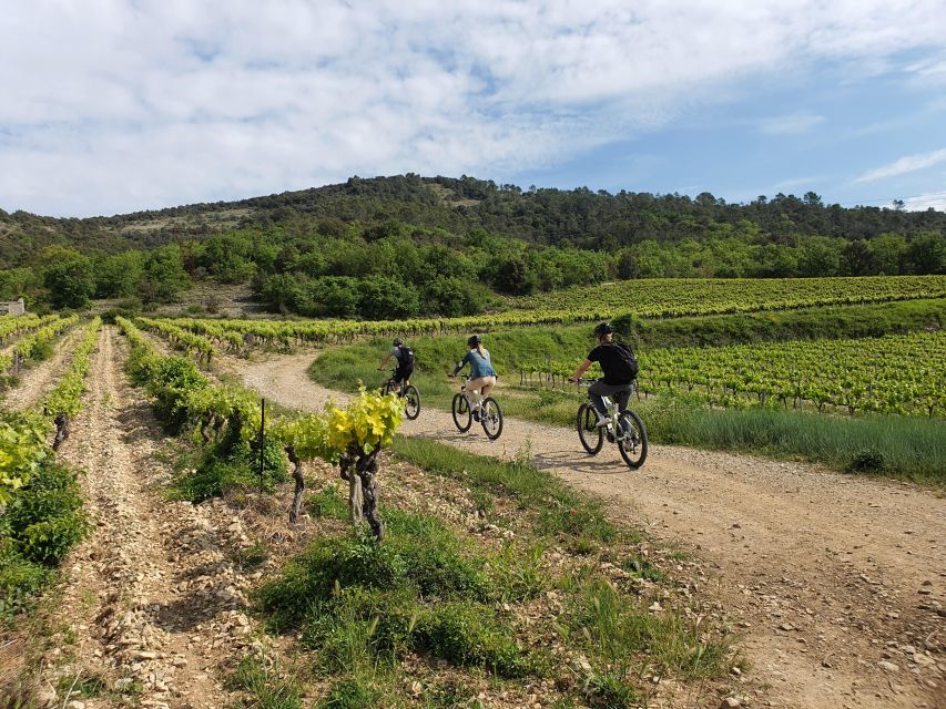 Saint Montan: Electric Bike Wine Tour & Tasting - Booking and Cancellation Policy