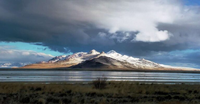 Salt Lake City: Great Salt Lake Antelope Island Guided Tour