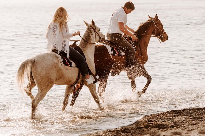 Santorini Small-Group Horseback Safari for All Levels