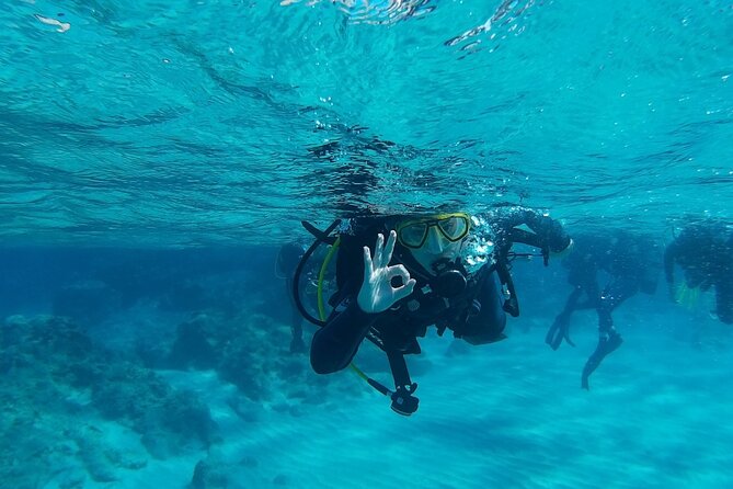 Scuba Diving for Beginners in Chania