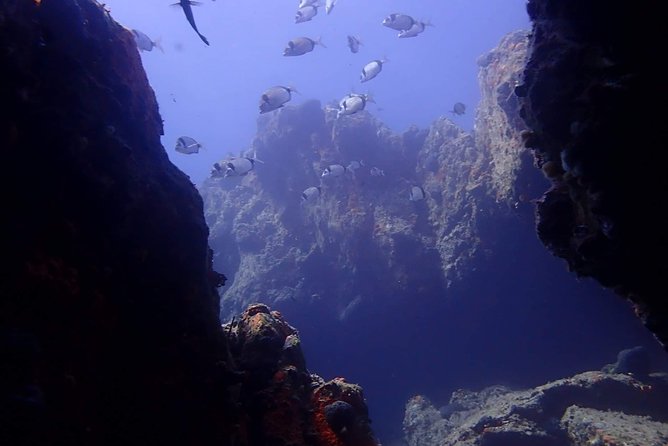 Scuba Diving in Naxos, Greece