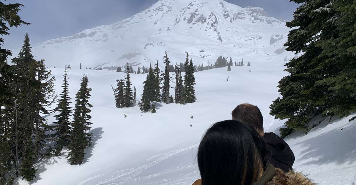 Seattle: Mt. Rainier Hiking W/ Waterfalls, Glaciers & Trees - Tour Details