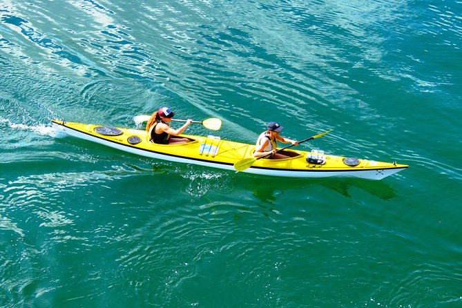 Self-Guided Sydney Middle Harbour Kayak 3 Hour Tour by Double Kayak - Tour Overview and Highlights