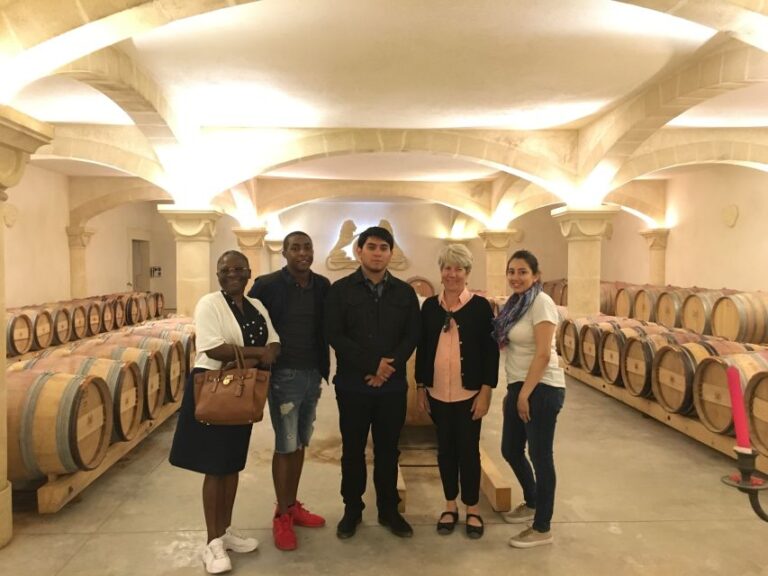 Sète: Private Half–Day Wine Tour