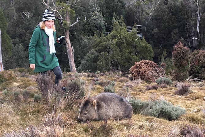 Shore Excursion – Cradle Mountain Day Tour From Burnie