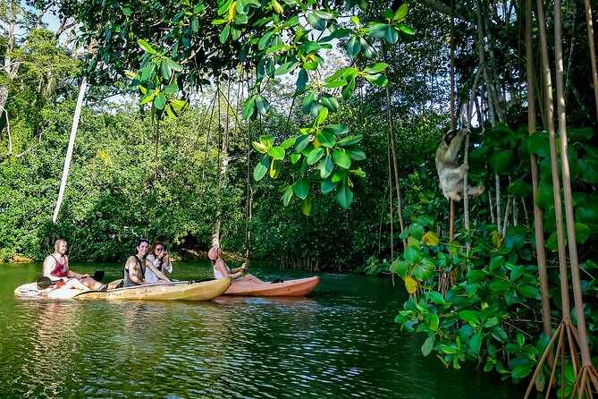 Sloth and Kayak Tour in Punta Uva Beach and Jungle - Tour Overview