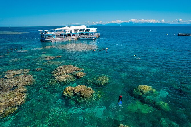 Snorkel & Dive the Reef: Sustainable, Scientific & Cultural Tour