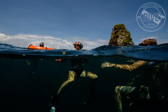 Snorkeling at Catalina Islands & North Island – CR