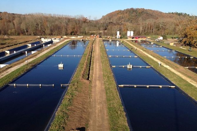 Sturgeon Fish-Farm Visit With Culinary Universe in Neuvic