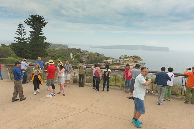 Sydney Combo: Morning Sightseeing to Bondi & Harbour Lunch Cruise - Morning Sightseeing Tour Highlights