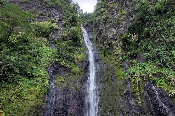 Tahiti Fautaua Valley and Big Waterfall Private Hiking Tour