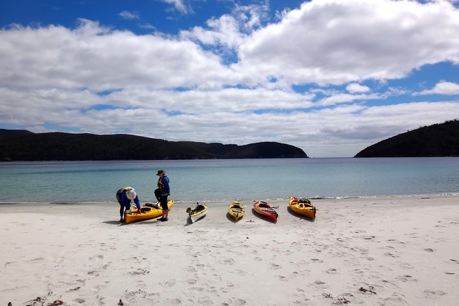 Tasman Peninsula Full Day Kayaking Tour - What to Expect on Tour