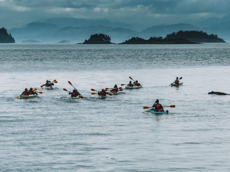 Telegraph Cove: 2 Hour Family Fun Kayaking Tour