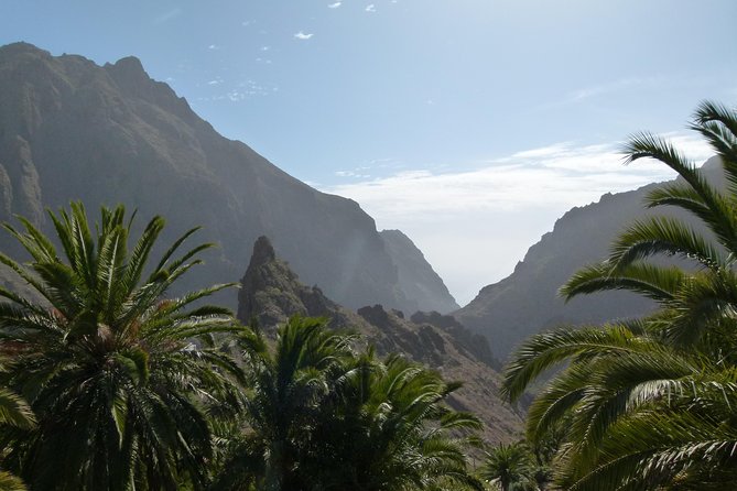 Tenerife Highlights Full-Day Tour