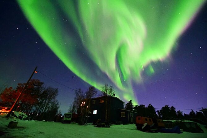 The Best Aurora Tour - Booking Information