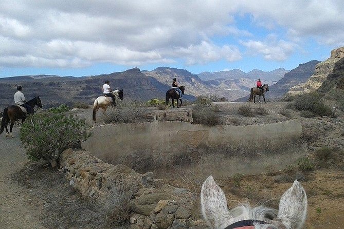 The Best Horse Riding Experience in Gran Canaria (2 Hours)