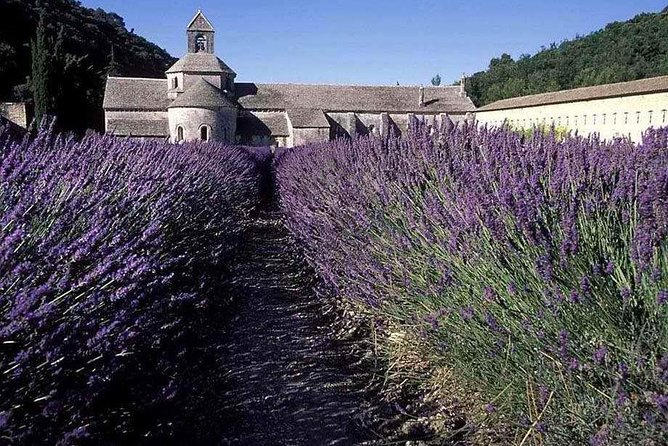 The Lavender Country – Private Tour With a Local Guide