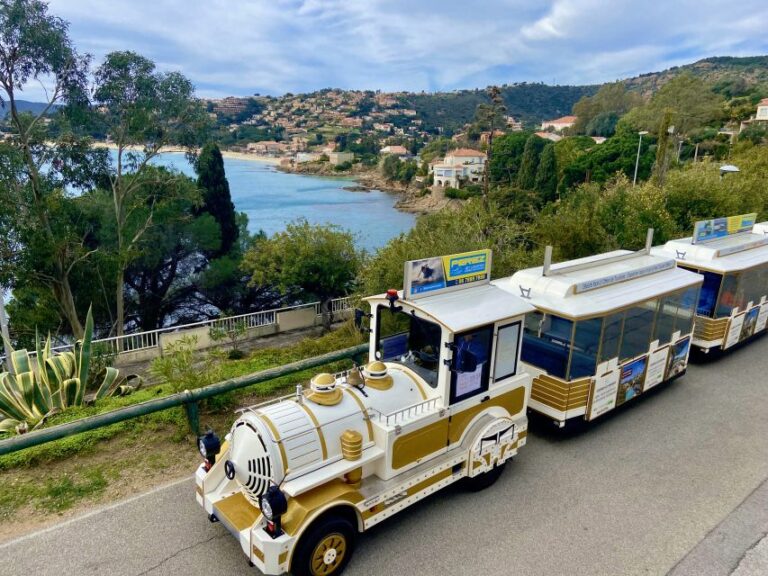 The Little Train of the Lavender Beaches