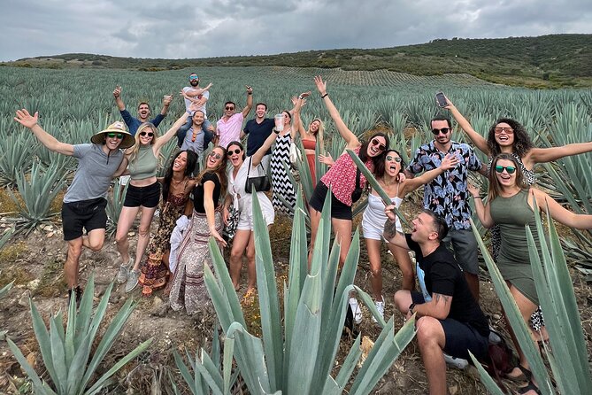 The Mezcal Journey - Mezcal Tour Highlights