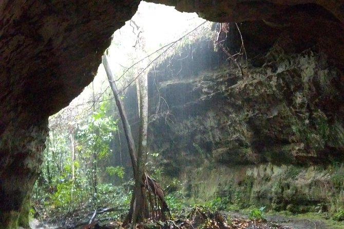 The Waterfalls of President Figueiredo – Day Tour in the Amazon