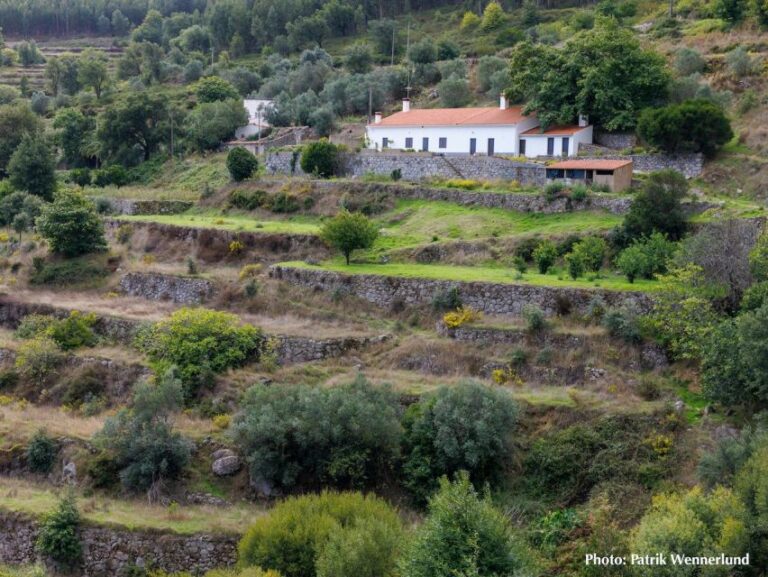 The Western Wild Algarve With a Luxury Picnic and Extra Wow