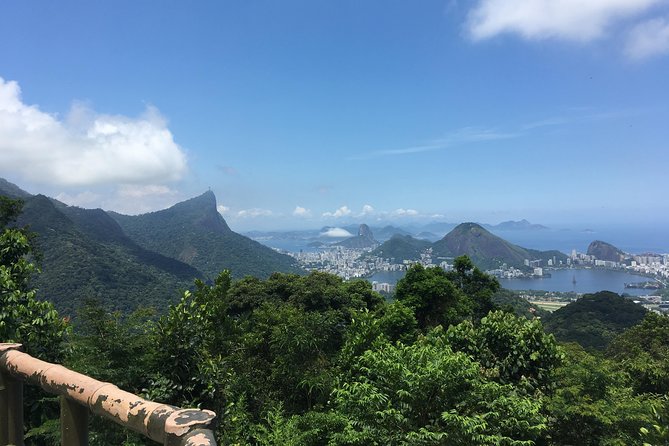 Tijuca National Park Half-Day Hiking Tour  – Rio De Janeiro