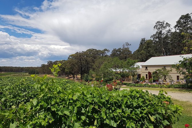 Tintilla Estate: Wine Tasting With a Meat and Cheese Platter - Wine Tasting Experience Details