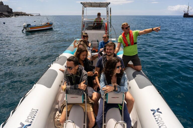 TIPP: Coastal Sightseeing Tour by RIB Boat