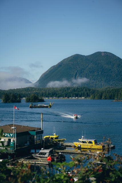 Tofino: Surf, Soak and Rainforest