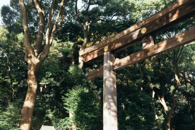 Tokyo: Meiji Jingu Shrine With Smartphone Audio Guide App