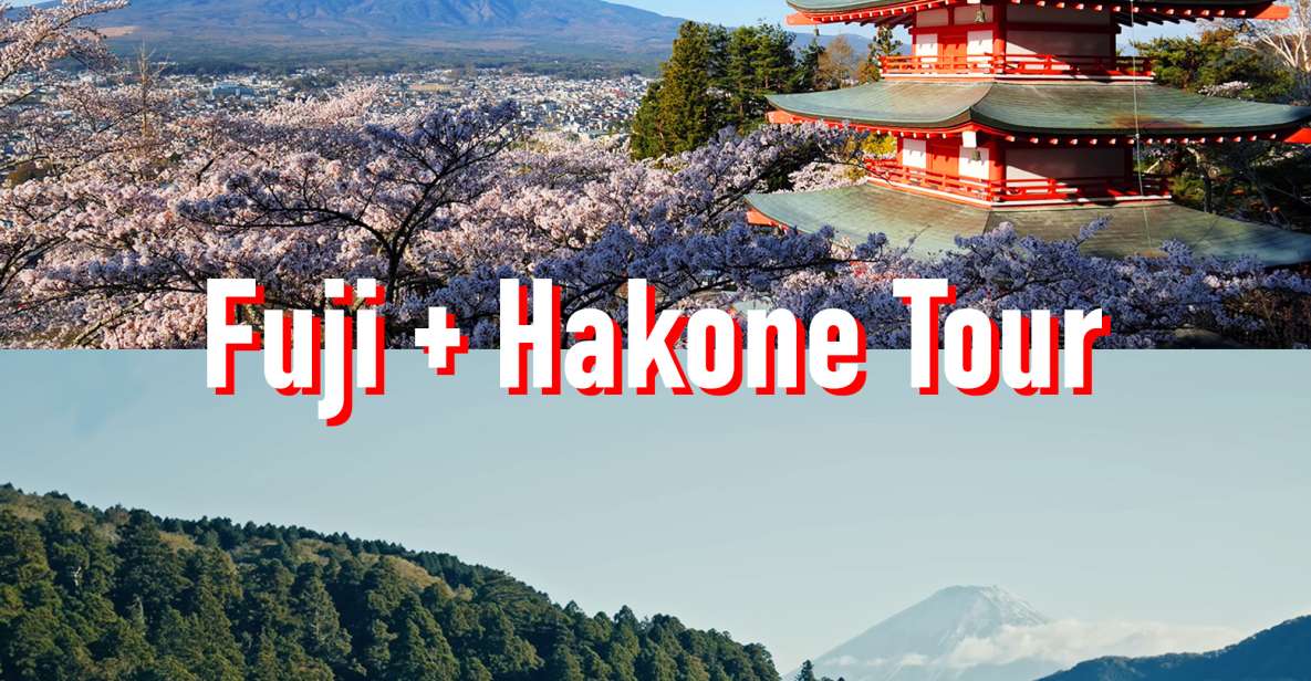 Tokyo to Mount Fuji and Hakone Private Full-day Tour - Tour Booking Information