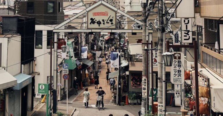 Tokyo: Yanaka Old Quarter Walking Tour