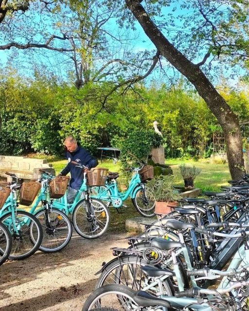 Torreilles: Bike Rental