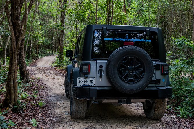 Tortugas Jeep Adventure & ATV Jungle Experience