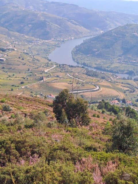 Tours Douro Valley, Braga Guimarães, Santiago Compostela